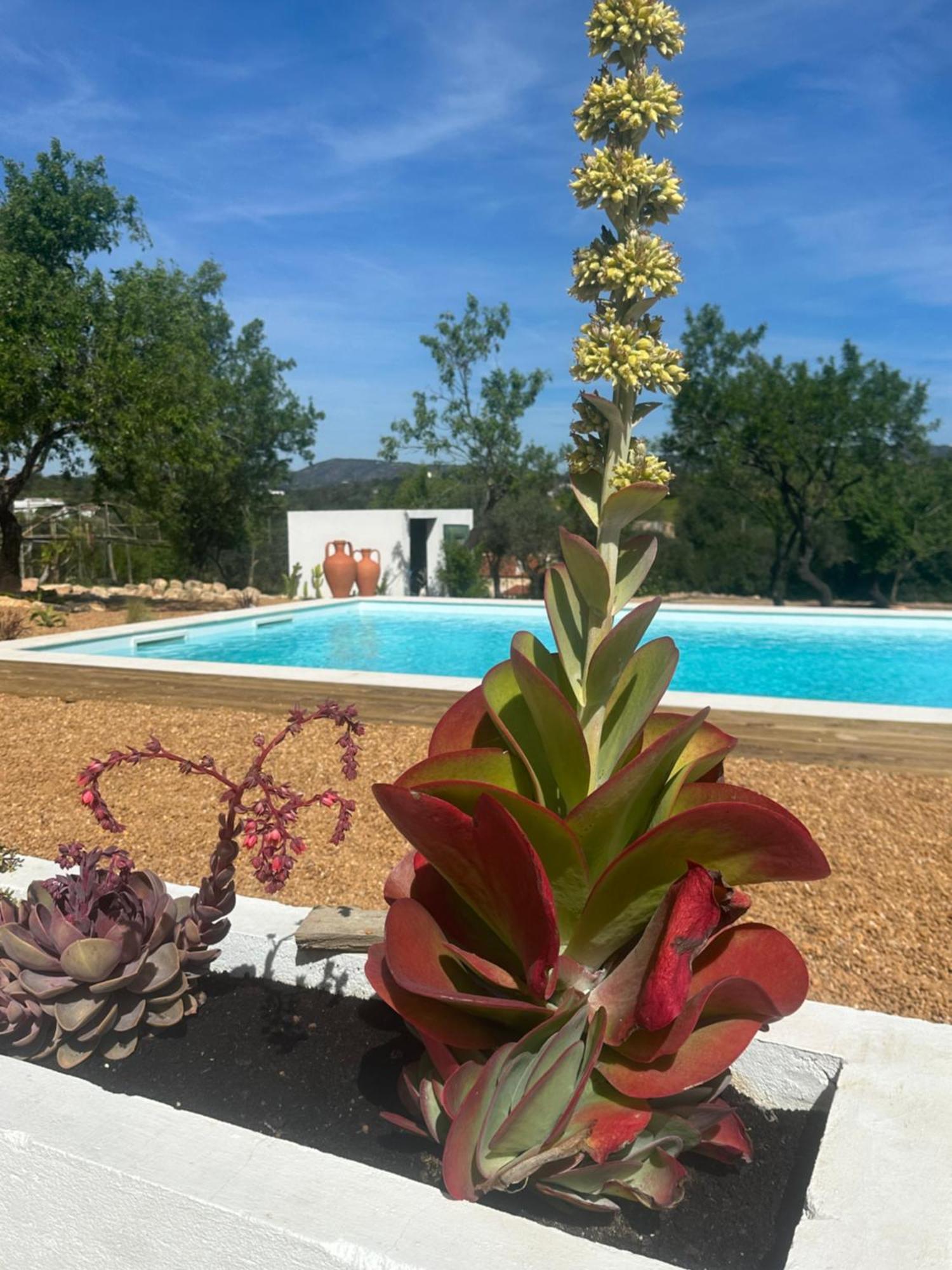 Вілла La Quinta Da Liberdade - Ferme De Charme En Algarve Pechao Екстер'єр фото