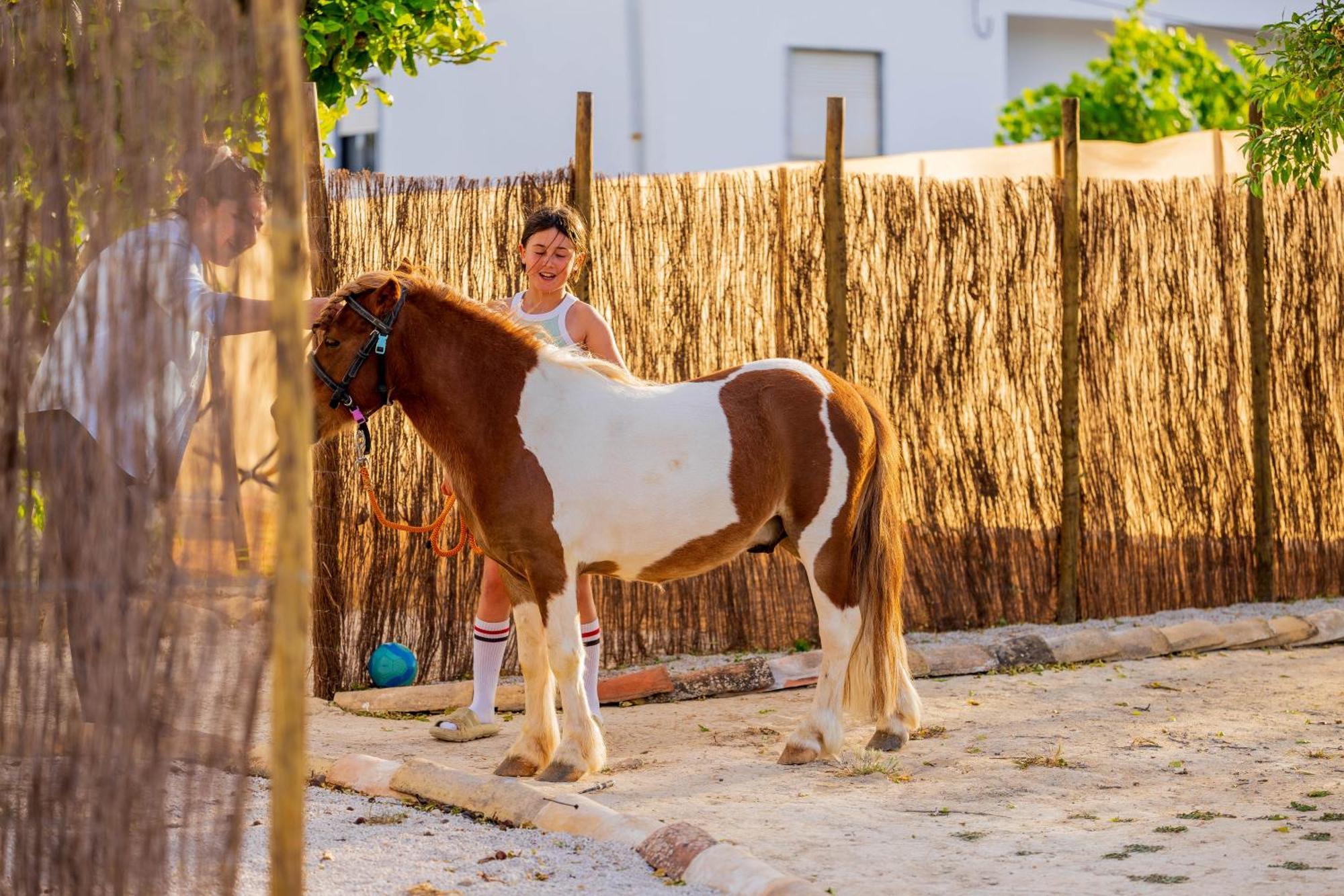 Вілла La Quinta Da Liberdade - Ferme De Charme En Algarve Pechao Екстер'єр фото