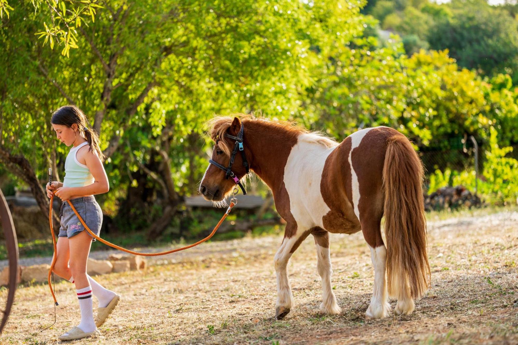 Вілла La Quinta Da Liberdade - Ferme De Charme En Algarve Pechao Екстер'єр фото